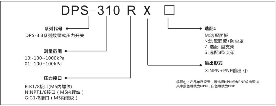 DPS-3數(shù)顯壓力傳感器型號(hào)說(shuō)明